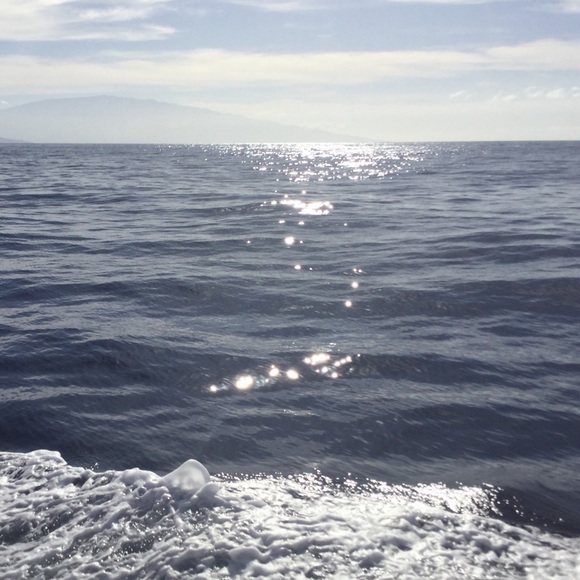 Meet your Posher, Marissa - Picture 1 of 1